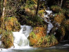 -叠溪松坪沟景区