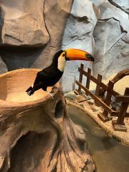 -Zoolung Zoolung动物主题公园(海信广场店)