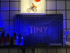 -TINY