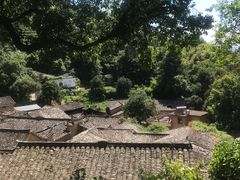-杨家堂村