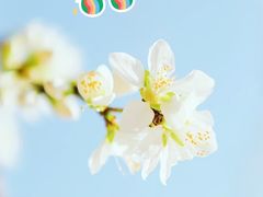 -东方之珠洗浴休闲广场(和平店)