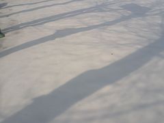 -哈尔滨商业大学(南校区)