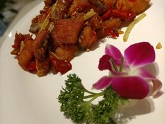 -刘胖子家常菜·蹄花焖藕(兴业店)