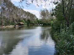 -溱湖国家湿地公园