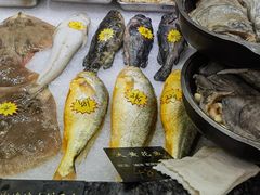 -渔码头食府(蓬莱阁店)