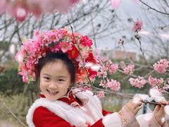 -福建鲤鱼洲酒店