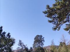 -香山公园