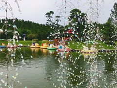 -迪茵湖田家舍生态农场