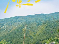 -缙云山景区