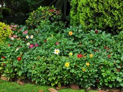 -上海市外滩历史纪念馆