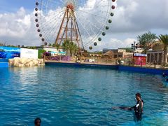 -三亚海昌梦幻海洋不夜城