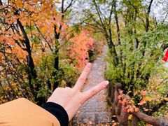 -秦岭终南山世界地质公园翠华山景区