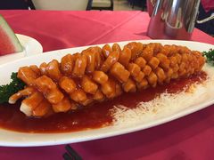 葡萄鱼-田园小观园(武大店)