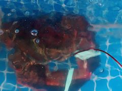 -宾朋海鲜特色美食餐厅·纯手工鲅鱼水饺(兴海路店)