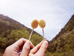 -溪口-滕头旅游景区