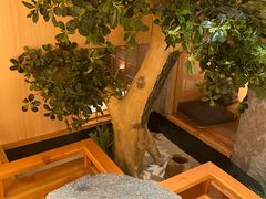 -文三酒肆自助放题(新街口友谊广场店)