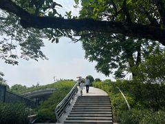 -云溪植物园