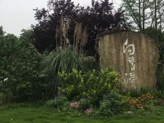 -白鹭湾湿地公园