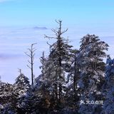 昨天的西岭雪山