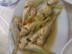 野生小黄鱼-老三鱼仔店