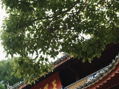 -阿育王寺