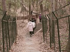 -紫金山山顶公园