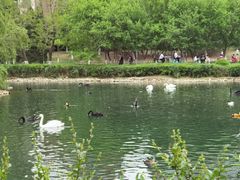 -长白岛森林公园