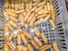 -吕氏焗小鲜•海鲜青岛菜(总店)