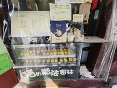 -猫的魔法密林(衣裳街店)