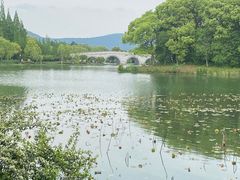 -尚湖风景区