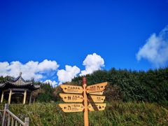 -野三坡百草畔景区