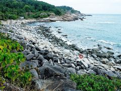 -广东惠东海龟国家级自然保护区