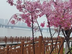 -艾溪湖湿地公园