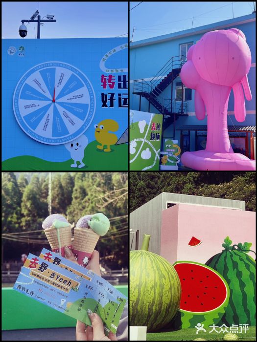 玉苍山国家森林公园图片