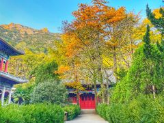 -青岛崂山太清宫
