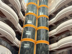 -五谷芳乳鸽王(海景店)