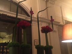 -LONG BAR 廊吧(外滩华尔道夫酒店)