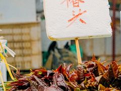 -科巷菜场