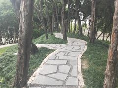 -嘉定紫藤园