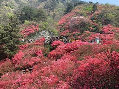 -木兰云雾山