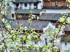-篁岭景区