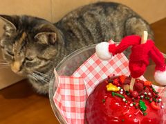 -大象厨房(重庆道店)