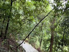 -岳麓山风景名胜区