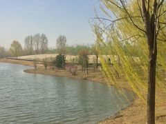 -东郊湿地公园