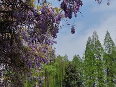 -西南交通大学(九里校区)