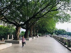 -黄埔古港
