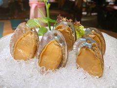 手工冰镇鲍鱼-木棉·醉心粤味(COCO Park店)
