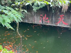 -千岛湖东南湖区