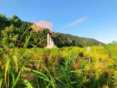 -花岙岛