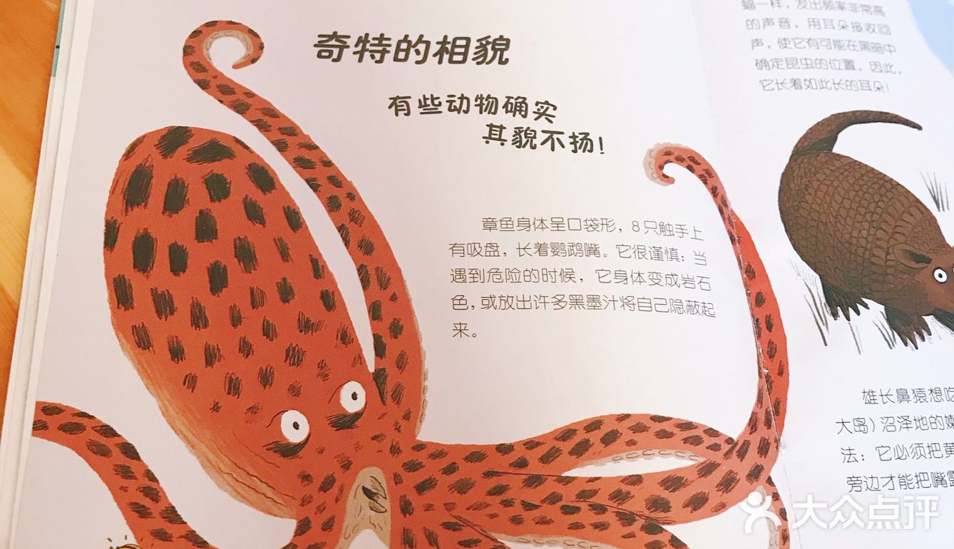 两岁的女孩对小动物都特别喜欢